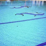 Del Mas Pase Piscina 2 Columnas Del 1 Junio 2026 Al 30 Agosto 2026 Chalet *