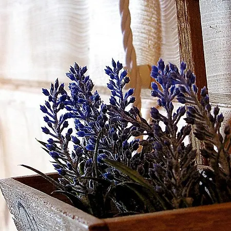 Del En Temporada Incluye Acceso Piscina 2 Columnas! Chalet