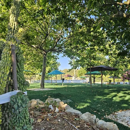 Del En Temporada Incluye Acceso Piscina 2 Columnas!