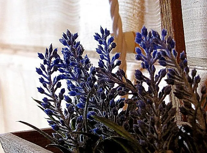 Del En Temporada Incluye Acceso Piscina 2 Columnas! シャレー