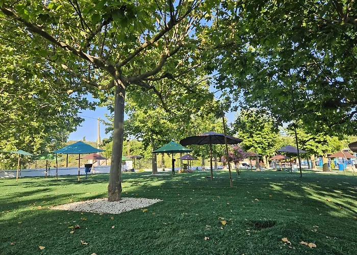 Dağ evi Del En Temporada Incluye Acceso Piscina 2 Columnas! Cordoba