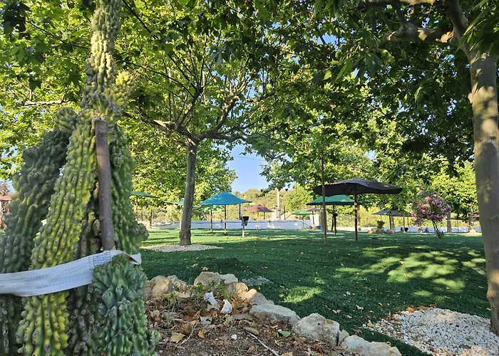 Del En Temporada Incluye Acceso Piscina 2 Columnas!