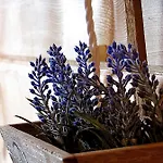 Del En Temporada Incluye Acceso Piscina 2 Columnas! Dağ evi