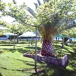 Del Mas Pase Piscina 2 Columnas Del 1 Junio 2026 Al 30 Agosto 2026 Chalet